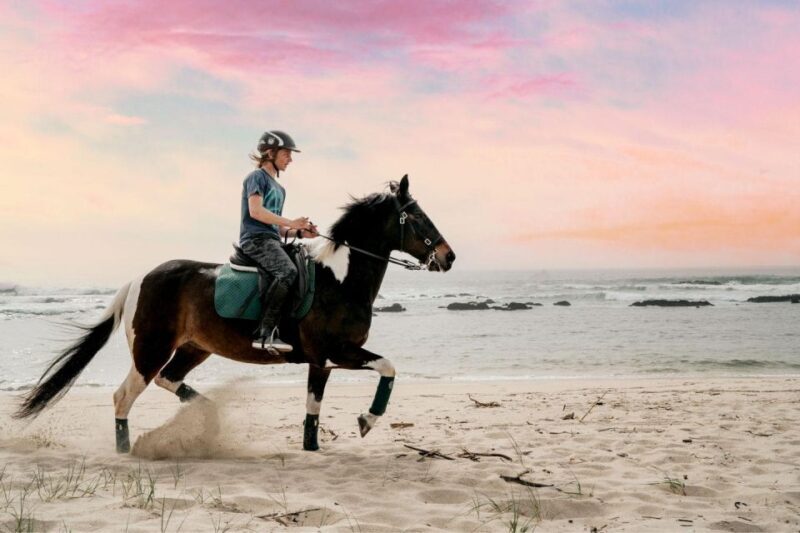 Horseback Riding Tour - Frequently Asked Questions