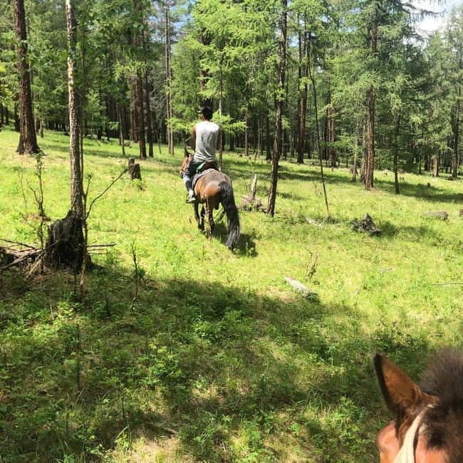 Horseback Riding Tour to Turtle Rock & Aryabal - Exploring Mongolia on Horseback: A Genuine Adventure