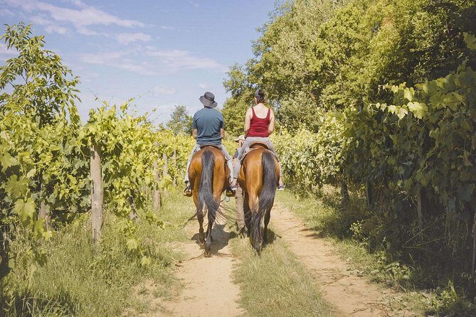 Horseback Riding Tour with Tuscan Picnic in Val d'Orcia and Valdichiana - Exploring Tuscany on Horseback: A Personal Perspective