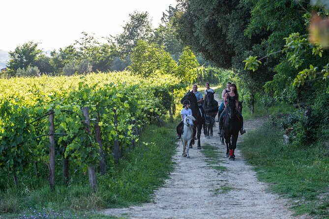 Horseback Riding Tour with Tuscan Picnic in Val d'Orcia and Valdichiana - The Itinerary: What to Expect