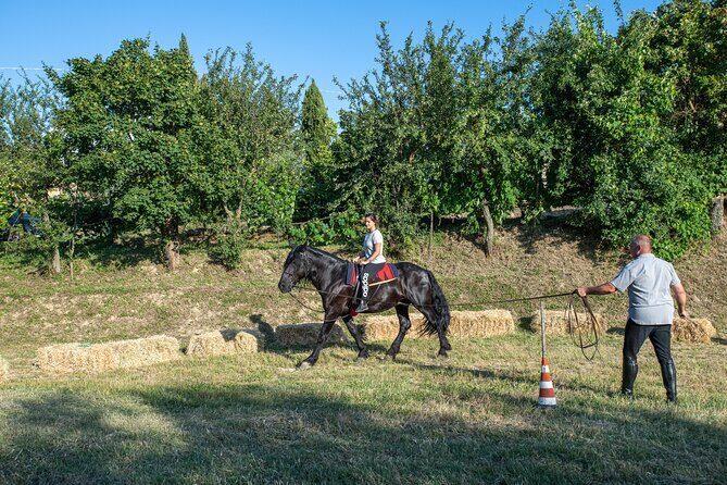 Horseback Riding Tour with Tuscan Picnic in Val d'Orcia and Valdichiana - Practical Details: Price, Duration, and Logistics