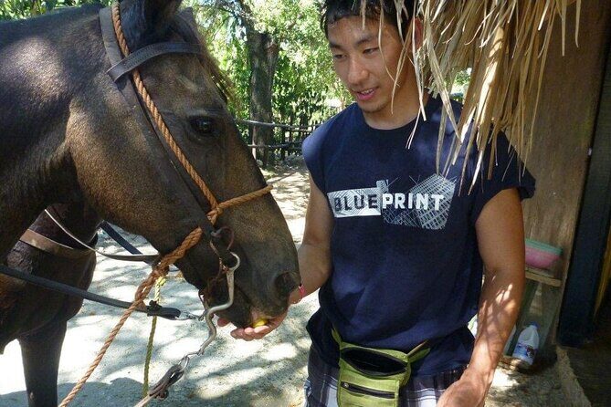 Horseback riding tours from amber cove & Taino bay port silver - FAQ