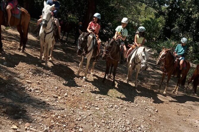 Horseback Riding Tours on the beach, mountain - A Deep Dive into the Costa Rican Horseback Adventure