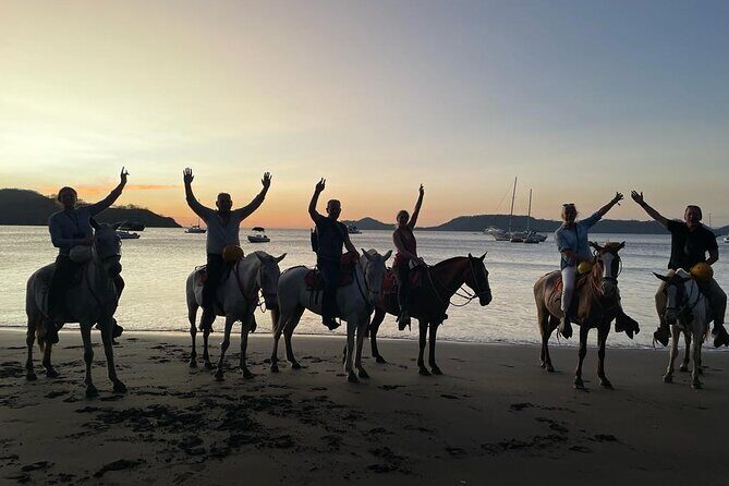 Horseback Riding Tours on the beach, mountain - FAQs