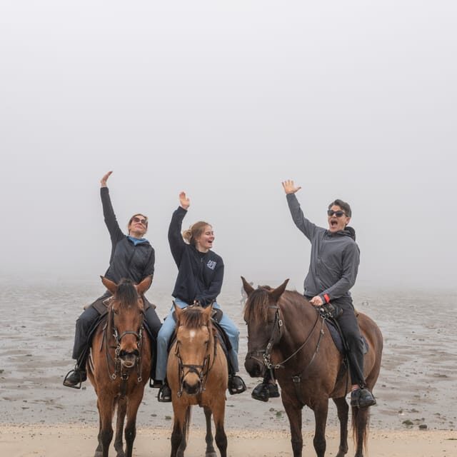 Horseback Riding Trough The Beach GROUP - PDT - Key Points