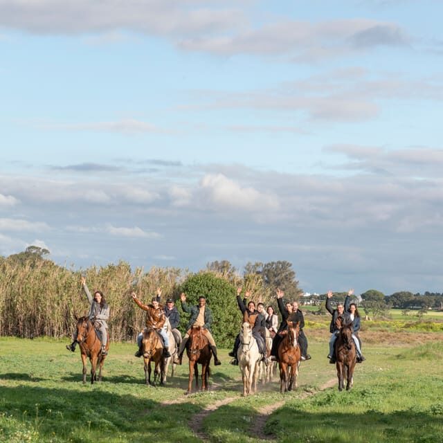 Horseback Riding Trough The Beach GROUP - PDT - An Honest Look at the Experience