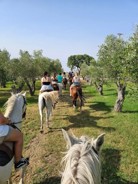 Horseback Riding Trough The Beach GROUP - PDT - Authentic Feedback from Participants