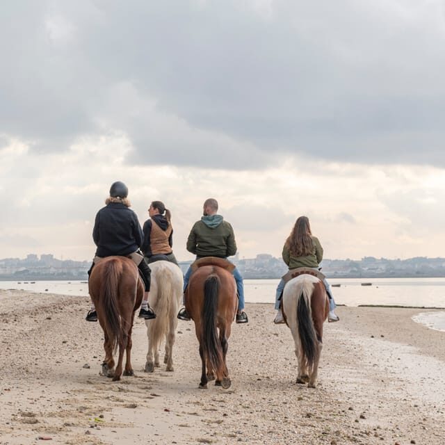 Horseback Riding Trough The Beach GROUP - PDT - Final Thoughts