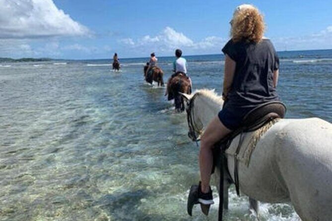 Horseback Riding trough The Countryside & Beach at Puerto Plata - The Beach Portion