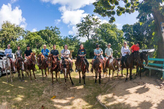 Horseback Riding + West End + Choco Factory + West Bay Day Pass @ Paradise Beach - Key Points
