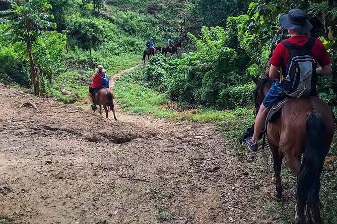 Horseback Riding + West End + Choco Factory + West Bay Day Pass @ Paradise Beach - Final Thoughts: Who’s This Tour Perfect For?