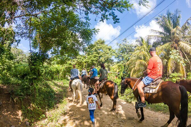 Horseback Riding + West End + Choco Factory + West Bay Day Pass @ Paradise Beach - FAQ