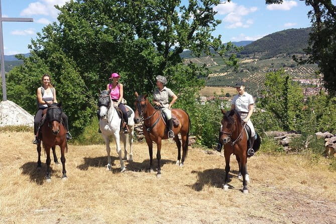 Horseback riding & Wine Tasting and snack Lunch at noble Estate - The Experience in Detail: Why It’s Worth the Price