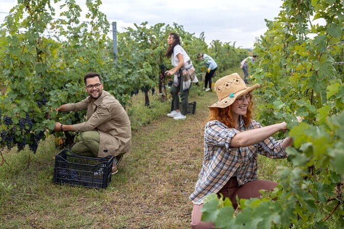 Horseback riding & Wine Tasting and snack Lunch at noble Estate - FAQs