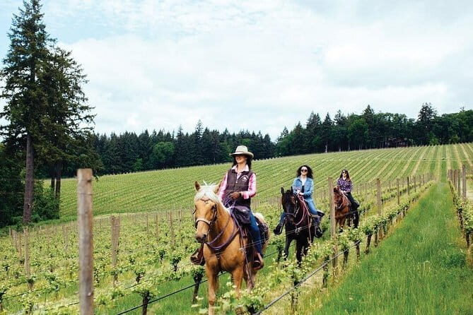 Horseback riding & Wine Tasting and snack Lunch at noble Estate - Final Thoughts