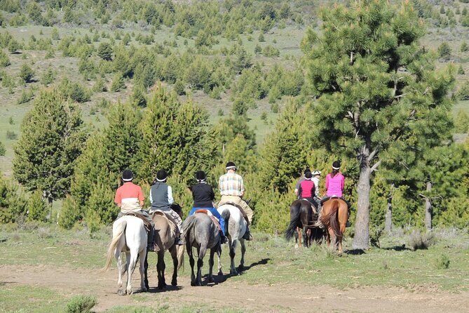 Horseback Riding with Asado in San Carlos de Bariloche, Argentina - Final Thoughts
