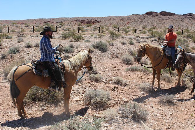 Horseback Riding with Breakfast in Las Vegas - A Closer Look at the Horseback Riding Experience