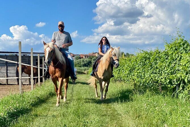 Horseback Riding with Wine and Food Tasting in Lazise Countryside - Why This Tour Offers Great Value