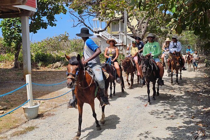 Horseback Riding ,Zipline and Animal Sanctuary in Bay Islands - Why This Tour Offers Great Value