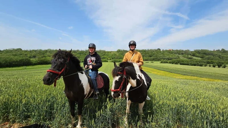 Horseback Trail Riding and Hiking - Day Trip from Belgrade - FAQs About the Horseback Trail Riding and Hiking Day Trip