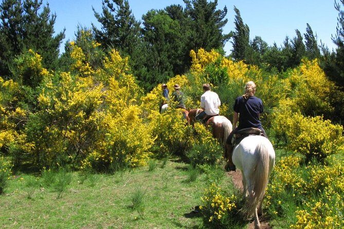 Horseback Trailride Excursion - Key Points