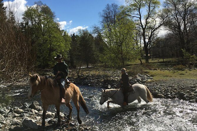 Horseback Trailride Excursion - A Closer Look at the Horseback Trailride Excursion