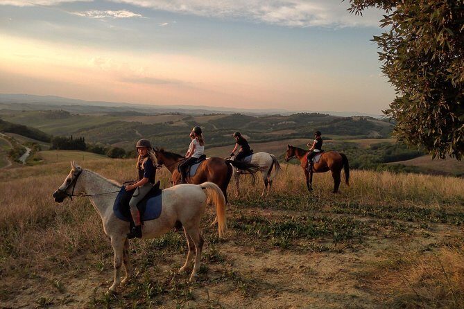 Horsebackriding - explore Tuscan nature - Feedback from Past Participants