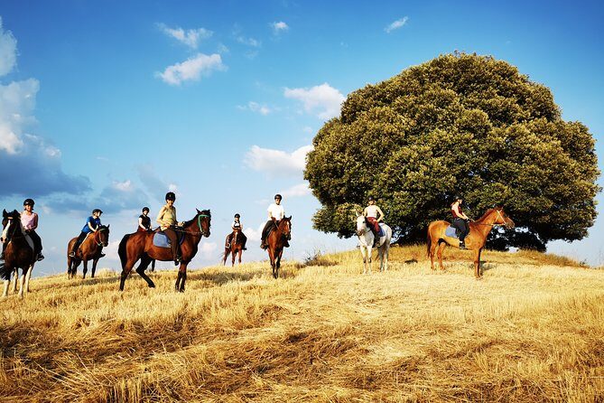 Horsebackriding - explore Tuscan nature - Who Should Consider This Tour?