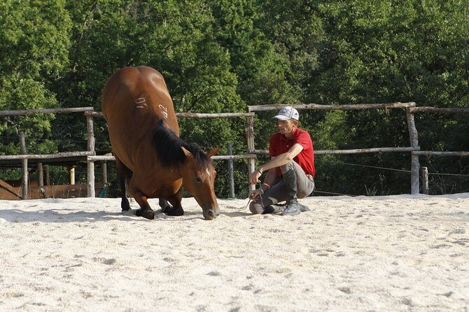 Horsemanship Experience - FAQ