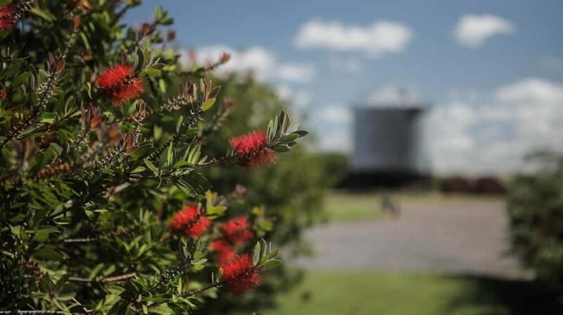 Horses, Asado & Nature. A day at a thoroughbred farm - FAQ