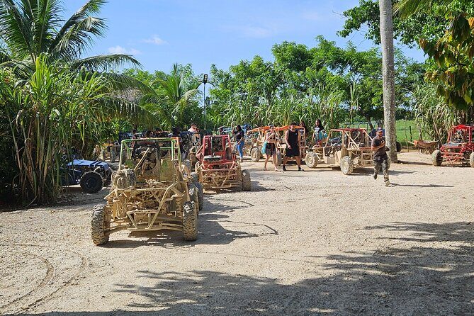 Horses, Buggy, and plantation in Chocaci Ranch - Key Points