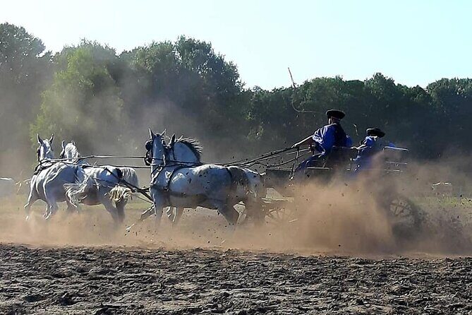 Horseshow on the Hungarian Puszta, private tour from Budapest with entry! - FAQ