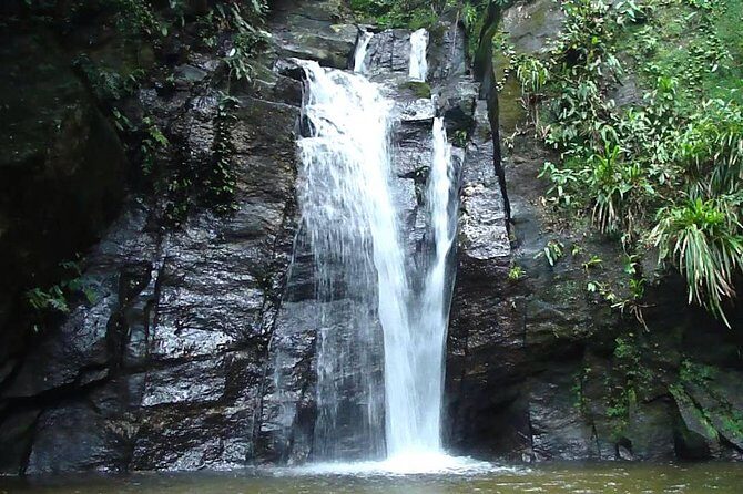 Horto Waterfalls Circuit Adventure Tour in Tijuca National Park - Key Points