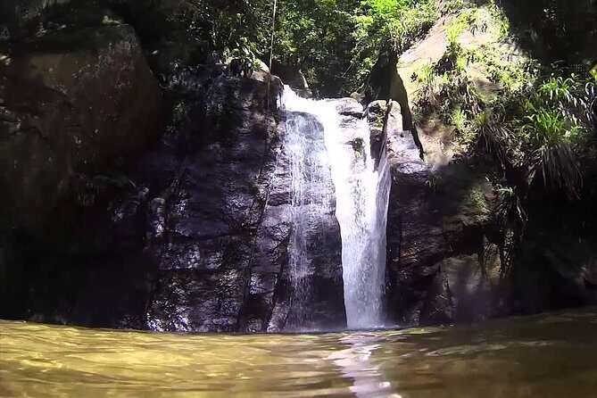 Horto Waterfalls Circuit Adventure Tour in Tijuca National Park - The Sum Up