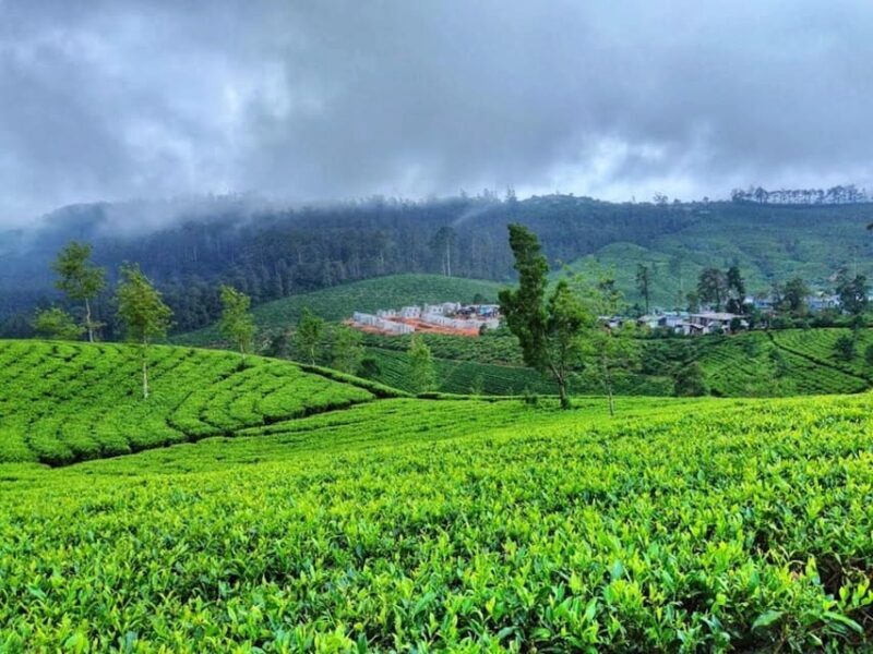 Horton plains: Discover real essence of central highland - Frequently Asked Questions