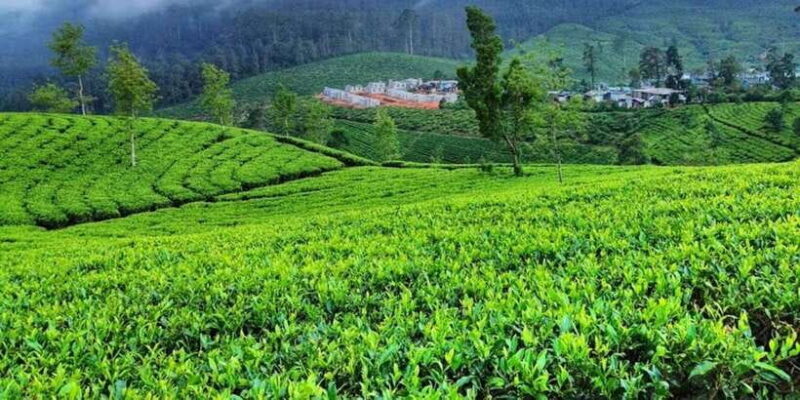 Horton plains: Discover real essence of central highland - Final Thoughts