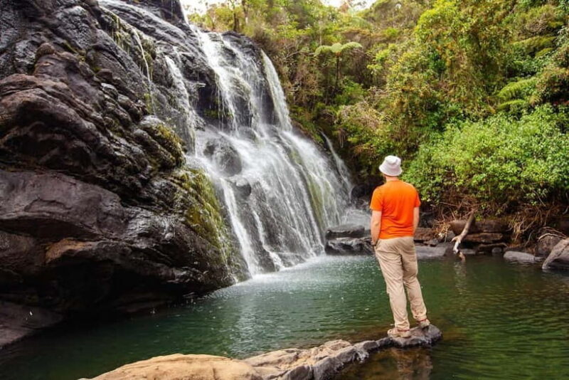 Horton Plains National Park From Nuwara Elia Tuk Tuk Tour - Discovering the Natural Beauty of Horton Plains