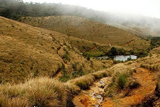 Horton Plains-World's End Tour From Nuwaraeliya - Experience the Spectacle of Horton Plains and Worlds End from Nuwara Eliya