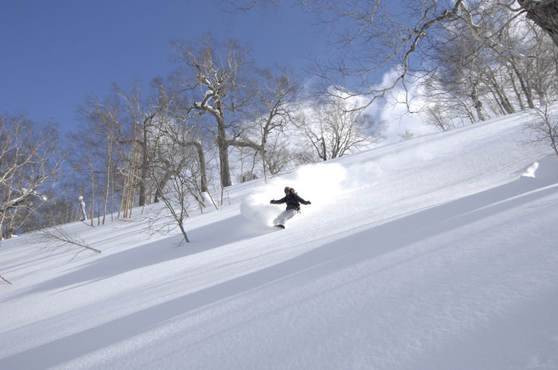 Hoshino Resorts Tomamu Ski Resort Lift Pass & Round-Trip Bus Ticket - Powder skiing, lift access, and what costs extra