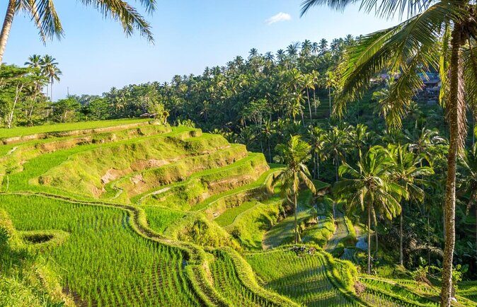 Hot Air Balloon Experience with Meals at Ubud - Key Points