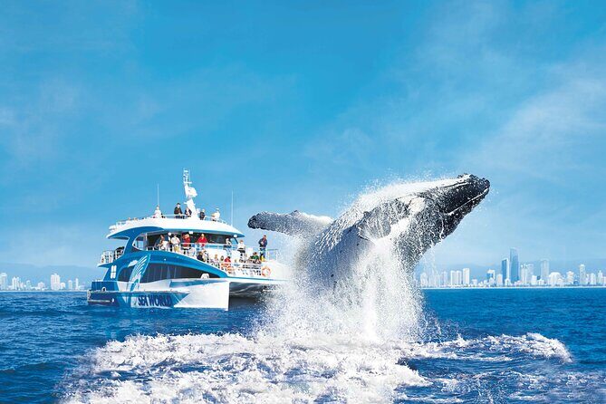 Hot Air Balloon Gold Coast and Seaworld Whale Watching - Final Takeaway