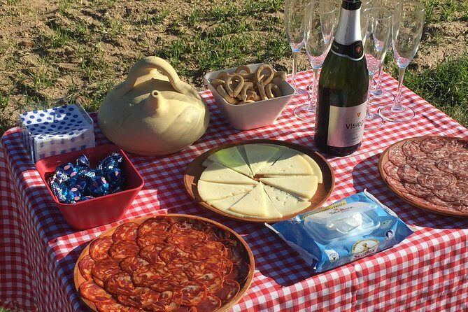 Hot Air Balloon Ride in Segovia with Toast, Picnic and Video - Why This Tour Excels and Who Will Love It