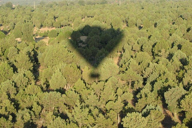 Hot-Air Balloon Ride over Madrids Guadarrama Regional Park - Final Thoughts