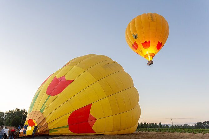 Hot Air Balloon Rides in Napa Valley - Detailed Review: Exploring Napa from the Sky