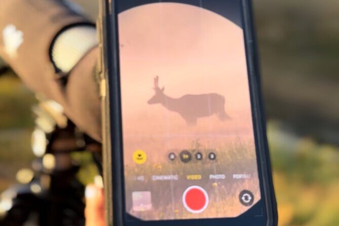 Hot Springs and Geysers Private Tour - Final Words