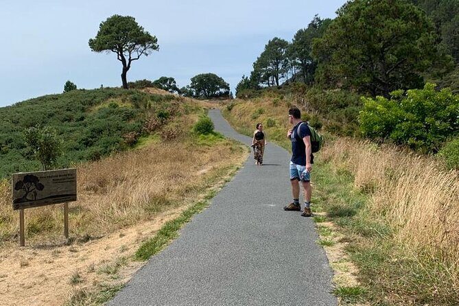 Hot Water Beach & Cathedral Cove Day Tour From Auckland - FAQ