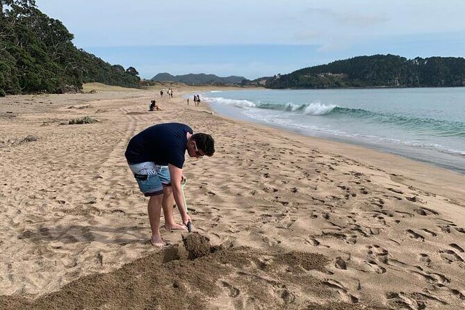 Hot Water Beach & Cathedral Cove Day Tour From Auckland - Final Words