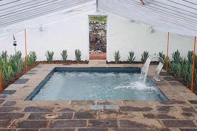 Hot Water Pool Bath Inside Pineapple Plantation & Dinner - Who Should Consider This Tour?