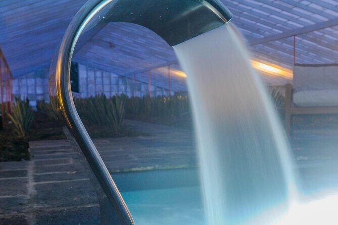 Hot Water Pool Bath Inside Pineapple Plantation & Dinner - The Sum Up