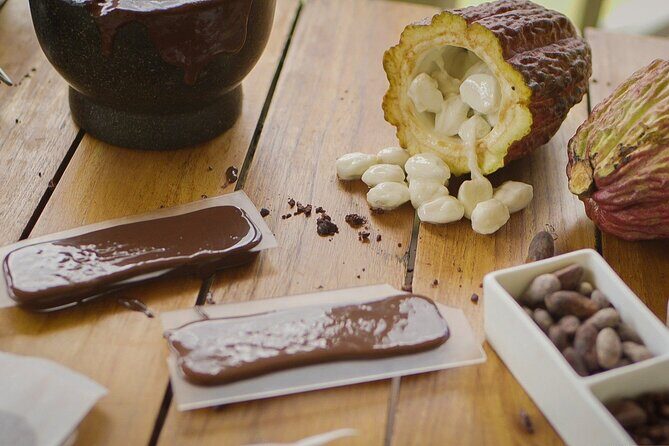 Hotel Chocolat Bean to Bar Experience in St. Lucia - Practical Details and What to Keep in Mind